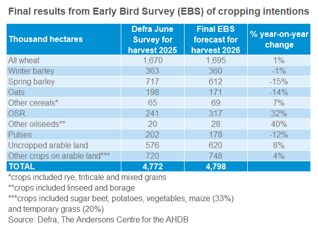 Early bird Fig 1 18 12 2025